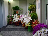 2010-6